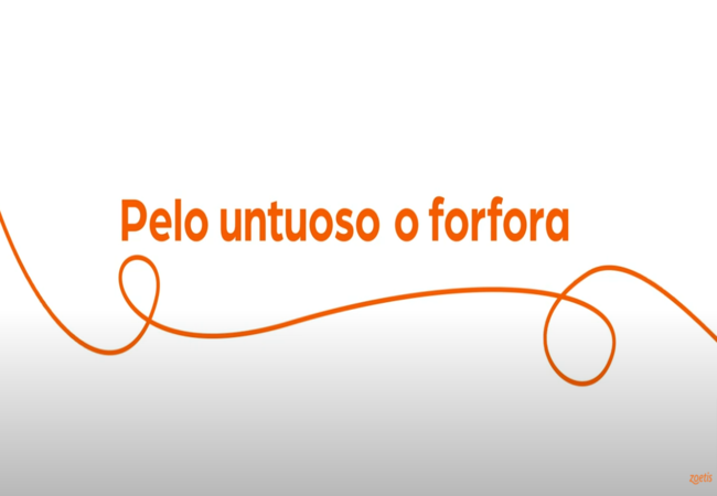 Testo "Pelo grasso o forfora" con vortice arancione su sfondo bianco.