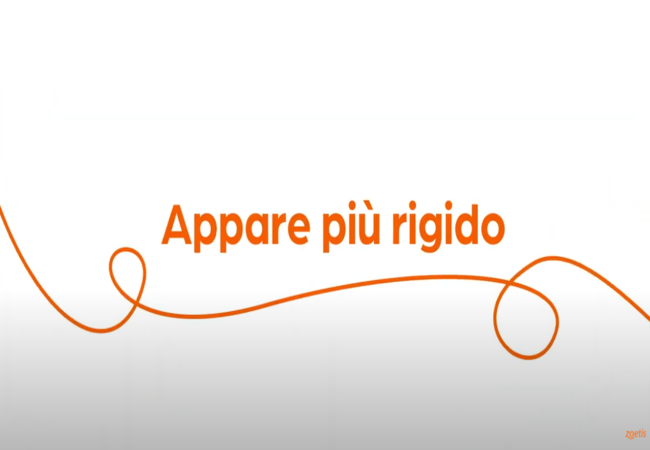 Testo "Rigidità" con vortice arancione su sfondo bianco.