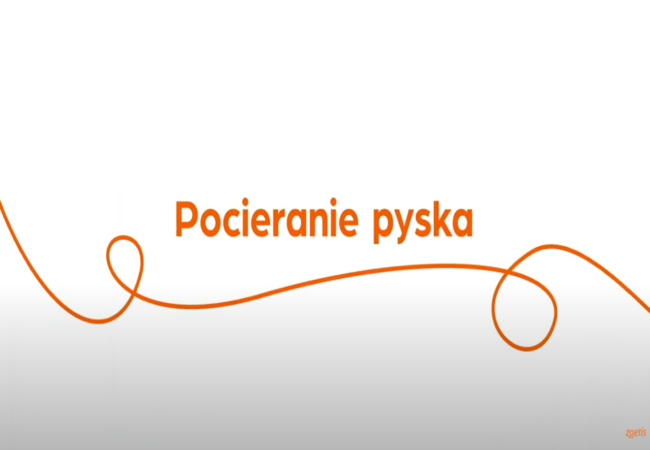 Tekst „Pocieranie pyska" z pomarańczową spiralą na białym tle.