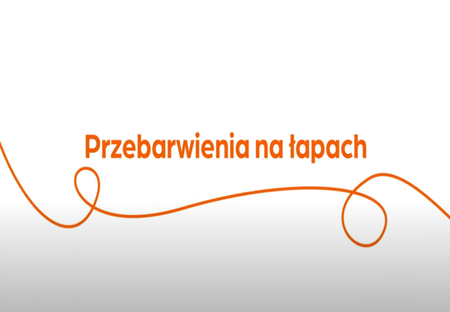 Tekst „Przebarwienia na łapach" z pomarańczową spiralą na białym tle.
