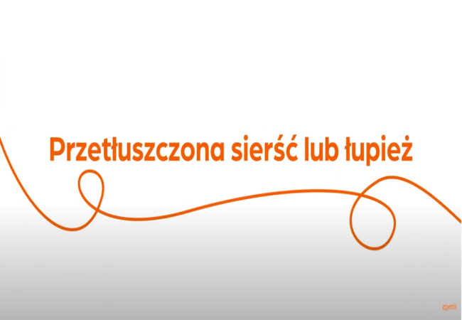 Tekst „Przetłuszczona sierść lub łupież" z pomarańczową spiralą na białym tle.