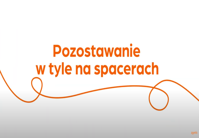 Tekst „Pozostawanie w tyle na spacerach” z pomarańczową spiralą na białym tle.