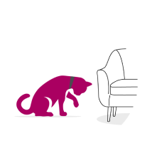 Taking less care of fur (grooming themselves)