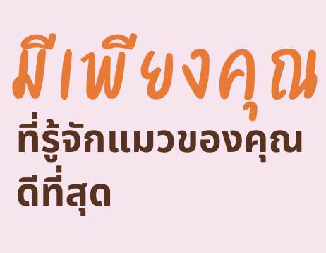 ม1พียงคุณ ที่รู้จักแมวของคุณ ดีที่สุด