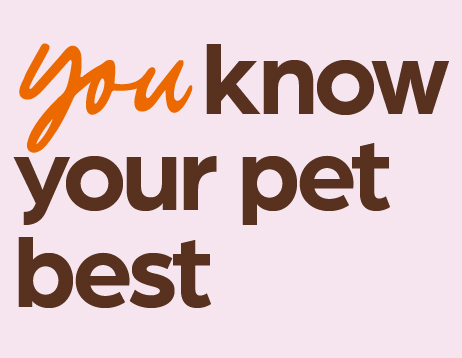 You know your pet best
