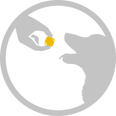 Silhouette of a hand giving a treat to a dog in a circle.